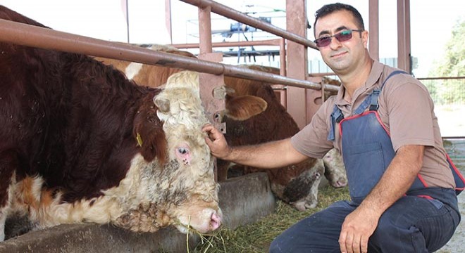 İnşaat işçisi, hibe desteğiyle besi çiftliği kurup, patron oldu