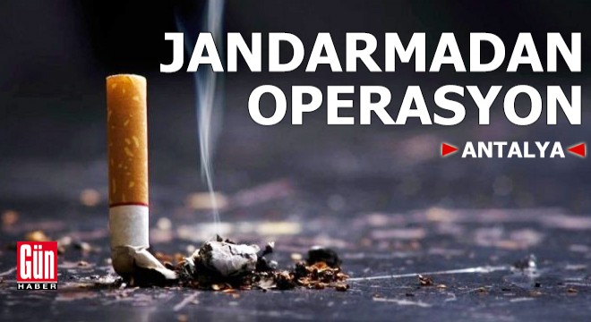 Jandarmadan Antalya'da operasyon