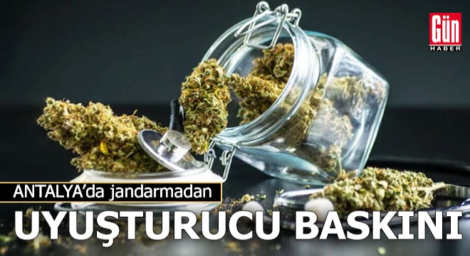 Jandarmadan uyuşturucu baskını