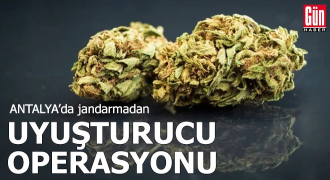 Jandarmadan uyuşturucu operasyonu