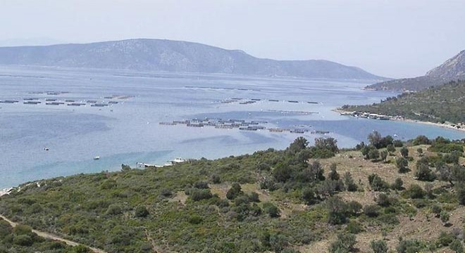 Karaburun Yarımadası'nda balık çiftliği tepkisi