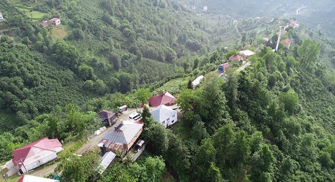https://m.gunhaber.com.tr/haber_resim/Karadeniz-in-tepedeki-sirali-evleri-ilgi-cekiyor-455795.jpg