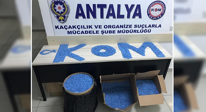 puplıc porn