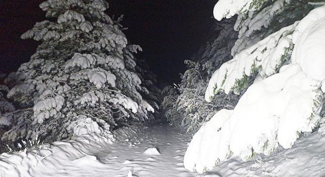 Kastamonu'da kar etkili oldu