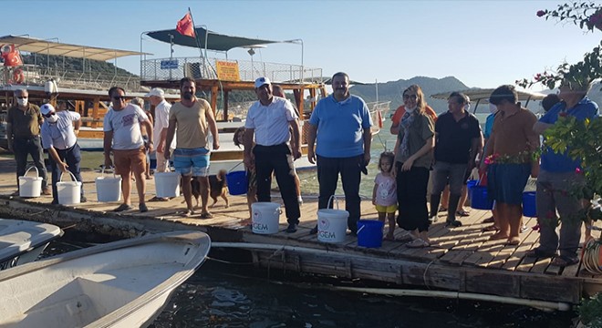 Kekova'da denize 15 bin yavru balık bırakıldı