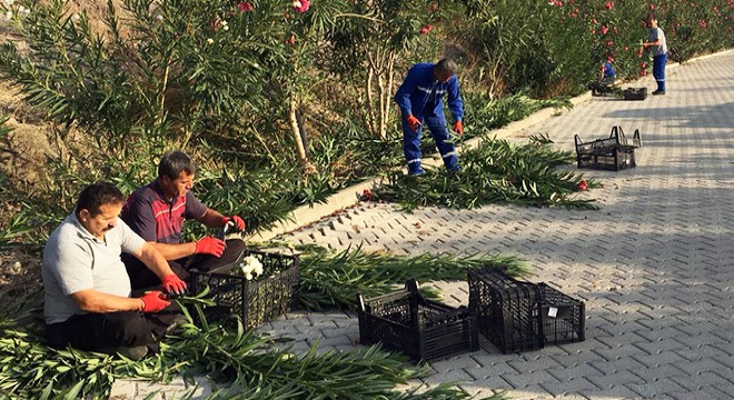 Kemer'de çevre temizliği yapıldı