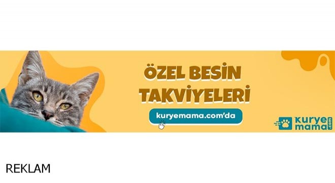 Köpek kulübesi, kedi kumları ve mamaları Kurye Mama.com'da