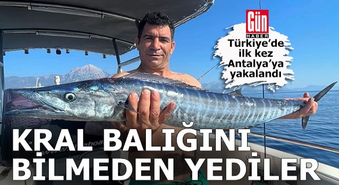 Kral balığını bilmeden yediler