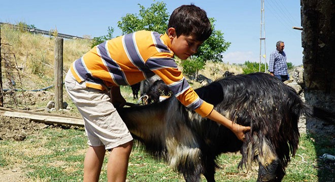 Kuzusu öldüğü için gözyaşlarına boğulan Barış, olayı anlattı