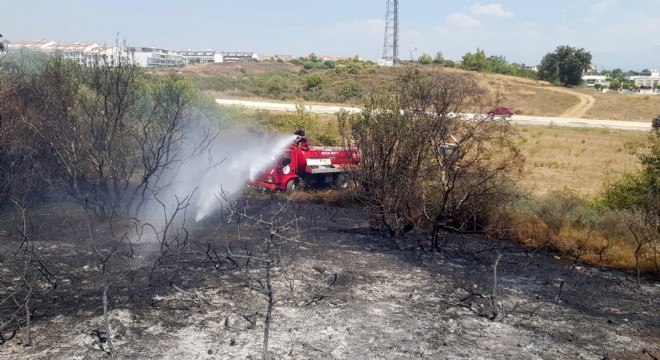 Manavgat'ta çalılık yangını