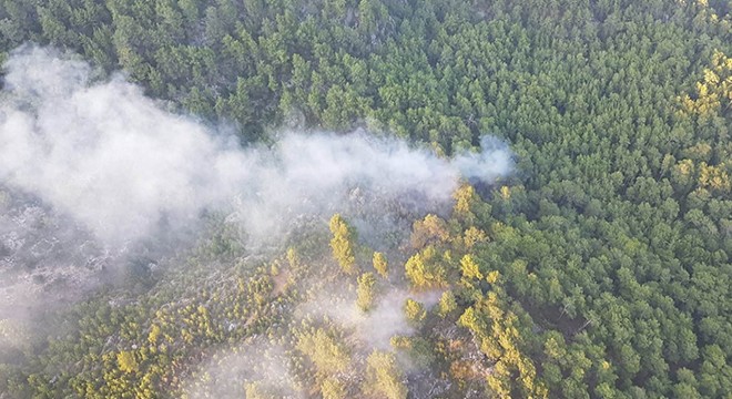 Manavgat'taki orman yangınında 1 hektar alan zarar gördü