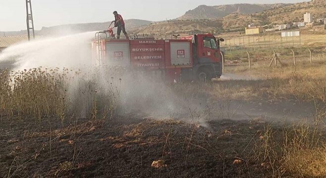 Mardin’de çıkan örtü yangını, büyümeden söndürüldü