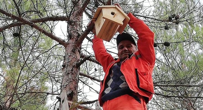 Mersin’de 4 bin adet kuş yuvası asıldı