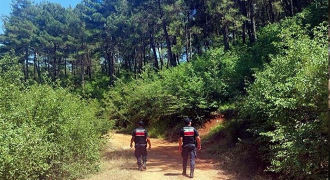 Muğla'da ormanlara giriş yasaklandı