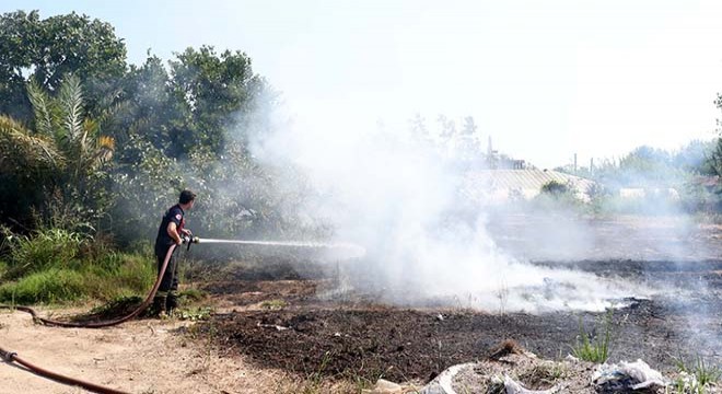 Muratpaşa'daki yangın seralara ulaşmadan söndürüldü