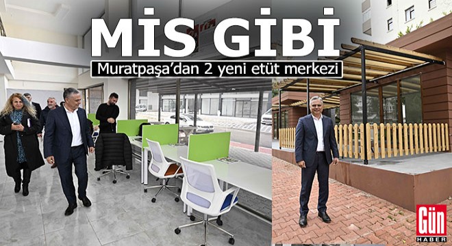 Yandex etuk kaltaklar