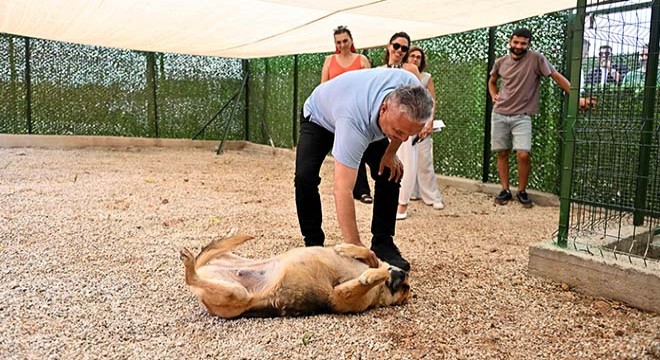 Muratpaşa'dan patili dostlara farkındalık şenliği