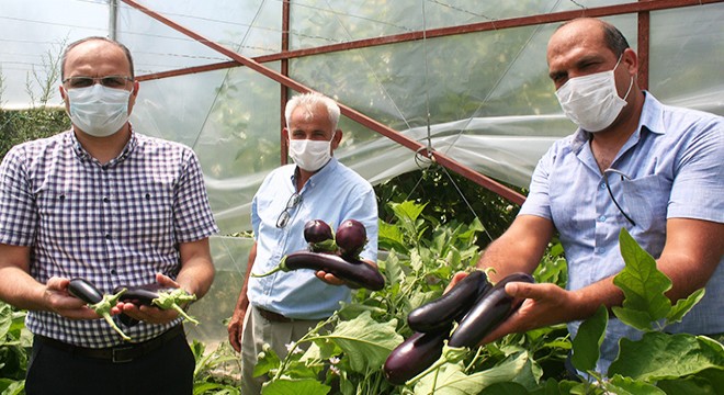 Öğrencilerin ektiği ürünleri, öğretmenler hasat etti