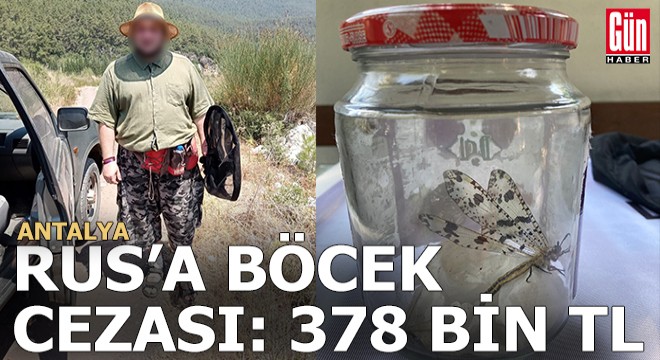 Rus'a böcek toplama cezası: 378 bin TL