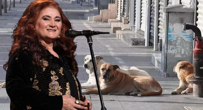 Sabahat Akkiraz'ın kardeşine köpek saldırdı