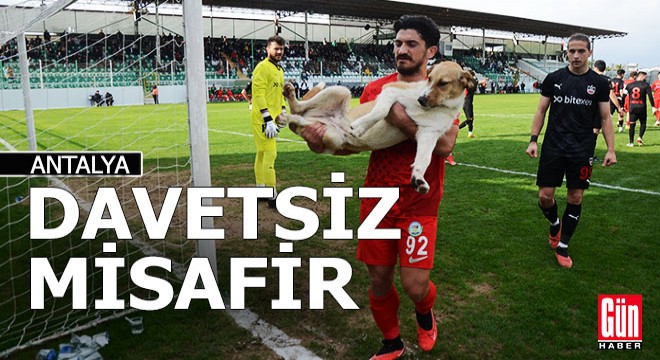 Sahaya giren köpeği futbolcular çıkardı