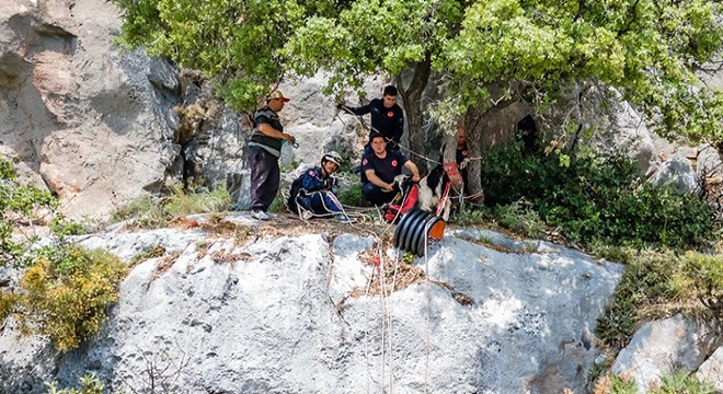 Sarp kayalıklardaki keçi 8 saatlik operasyonla kurtarıldı