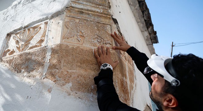 Selçuklu Sultanı'nın haber kuşları, Antalya'da sıva altından çıktı