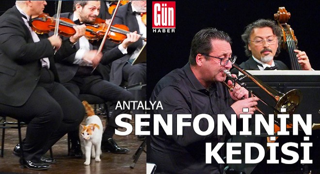 Senfoniden viyola- trombon konseri