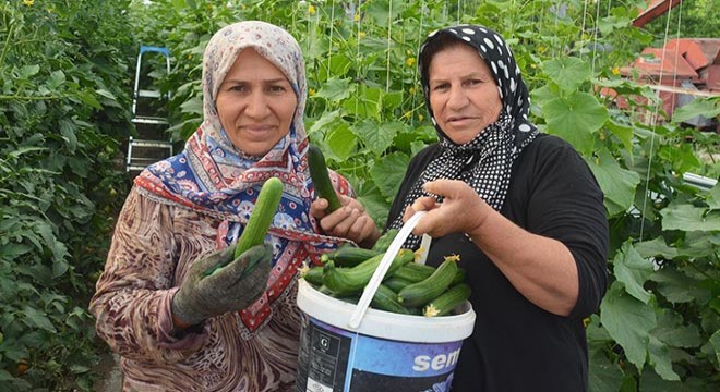 Seracı kız kardeşler