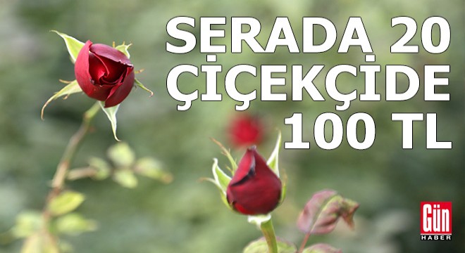 Serada 20 lira olan kırmızı gül, çiçekçide 5 katına satılıyor