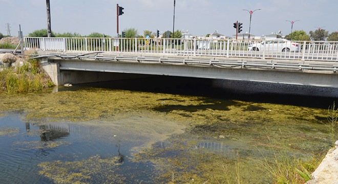 Serik Acısu Deresi'nde 'kirlilik ve koku' şikayeti