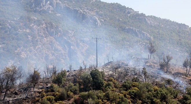 Serik'te orman yangını; 5 hektar alan kül oldu