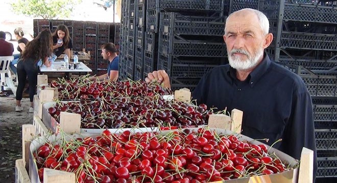 Simav'da kiraz, üreticiyi üzdü