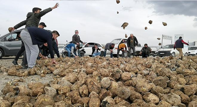 TIR ile otomobil çarpıştı, 30 ton pancar yola saçıldı