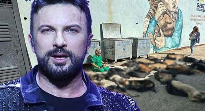 Tarkan'dan Gebze'de yaşanan hayvan katliamına tepki