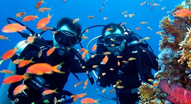 Turistler, Antalya'nın su altı zenginliklerini keşfediyor