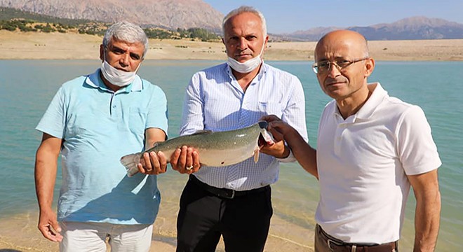 Türk somonu hasadı başladı