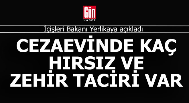 Türkiye'de cezaevlerinde kaç hırsız ve kaç zehir taciri var?