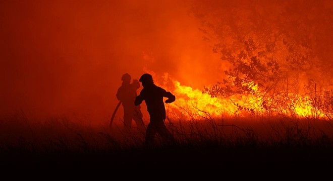 Ukrayna’da orman yangını