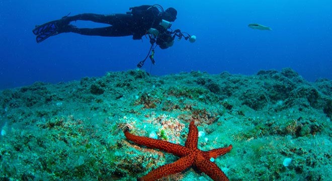 Uluslararası Kemer Sualtı Günleri başlıyor