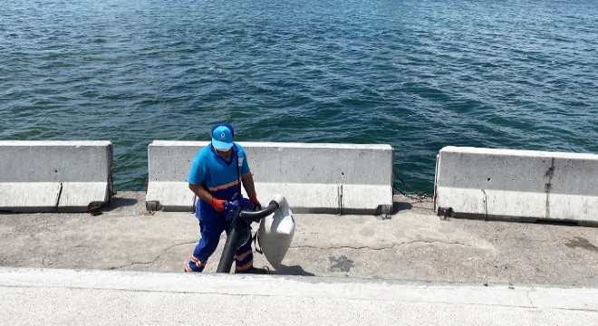 Üsküdar sahilinde drone ile çekirdek denetimi