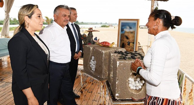 Vali Yazıcı'nın adını taşıyan yuvadaki yavru carettalar 52 gün sonra çıktı