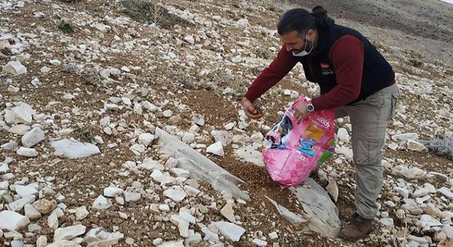 Yaban hayvanları için doğaya yem bıraktılar