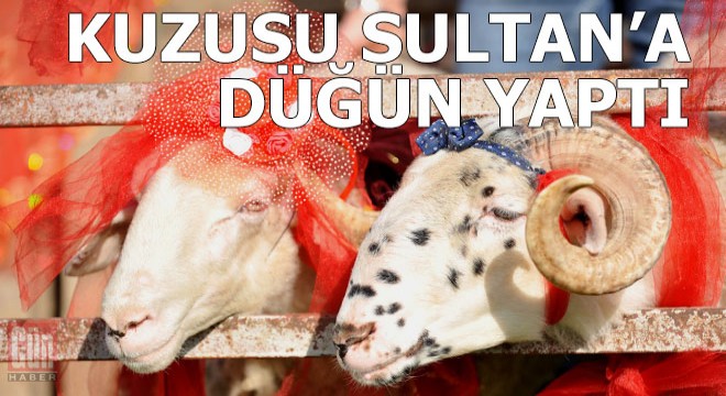 Yasaklar kalktı, kuzusu 'Sultan'a davullu zurnalı düğün yaptı