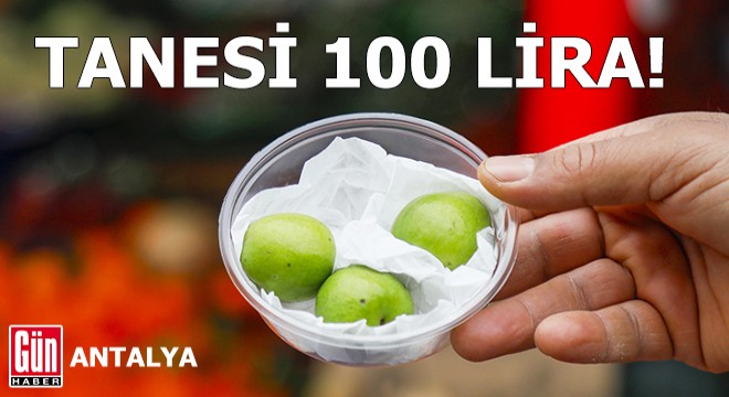 Yeşil eriğin tanesi 100 lira