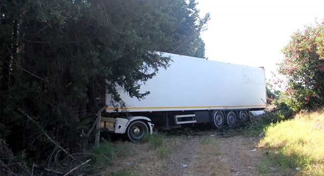 Yoldan çıkan TIR'ın sürücüsü yaralandı